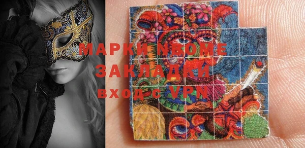 шишки Баксан