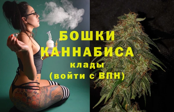 шишки Баксан