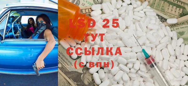 шишки Баксан